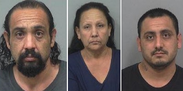 mom sons arrested, trafficking meth