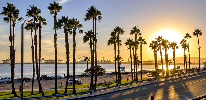 California Marriage License Records Search