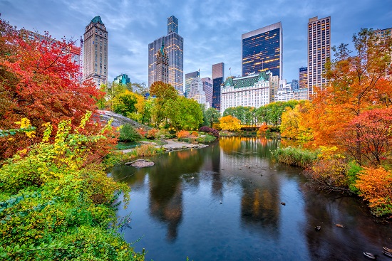 new York Rape Laws