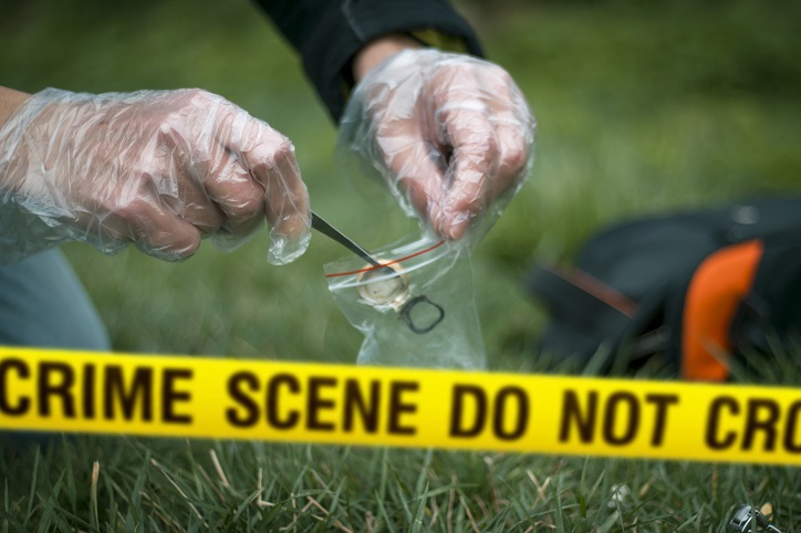 Florida Crime of Passion Law