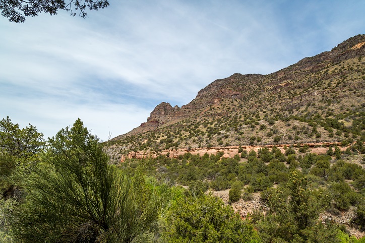 Camp Verde Court Records