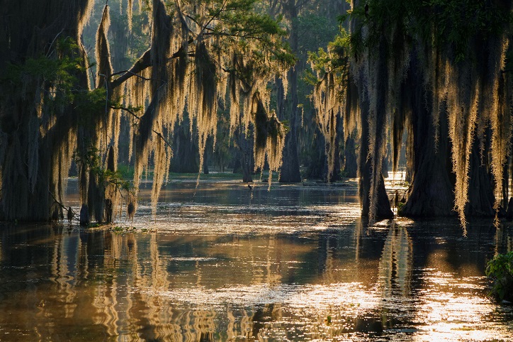 Louisiana Breach of Peace Law