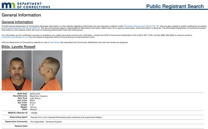 Minnesota 2020 public records