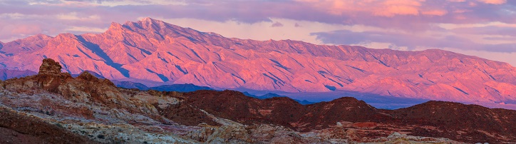 Nevada Breach of Peace Law
