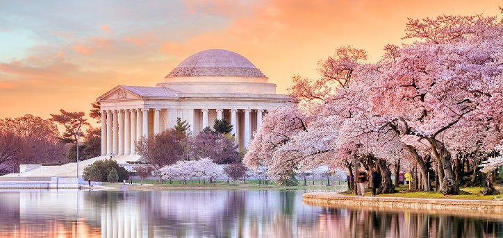Abuse of Authority Laws Washington