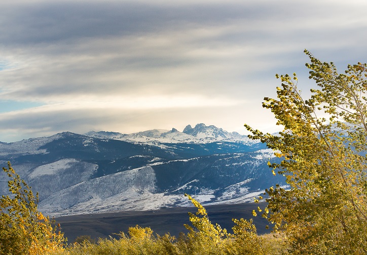 Register to Vote Wyoming
