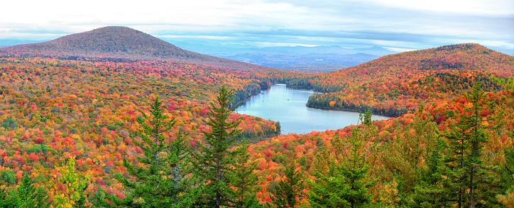Vermont Bribery Law