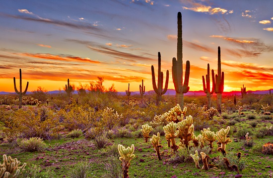 Arson Law Arizona
