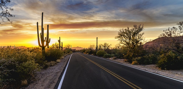 Arizona People Search